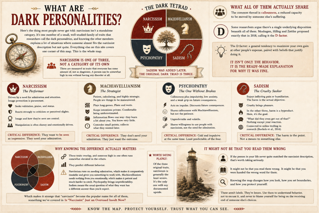 What are dark personalities